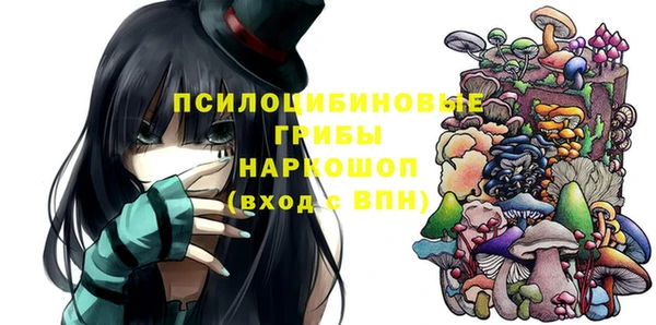 таблы Бородино