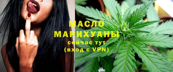 таблы Бородино