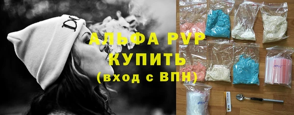 таблы Бородино