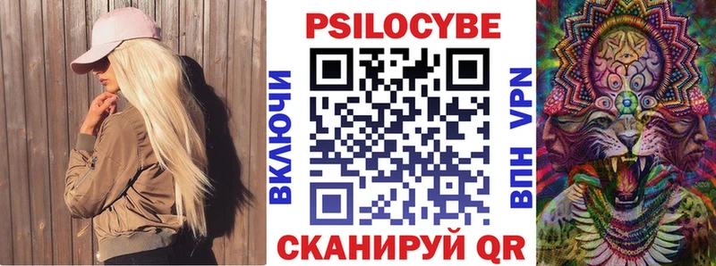 Псилоцибиновые грибы Psilocybe  Купить  Уяр 